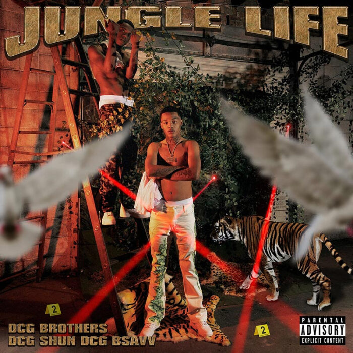 Jungle Life by DCG Brothers - Artwork