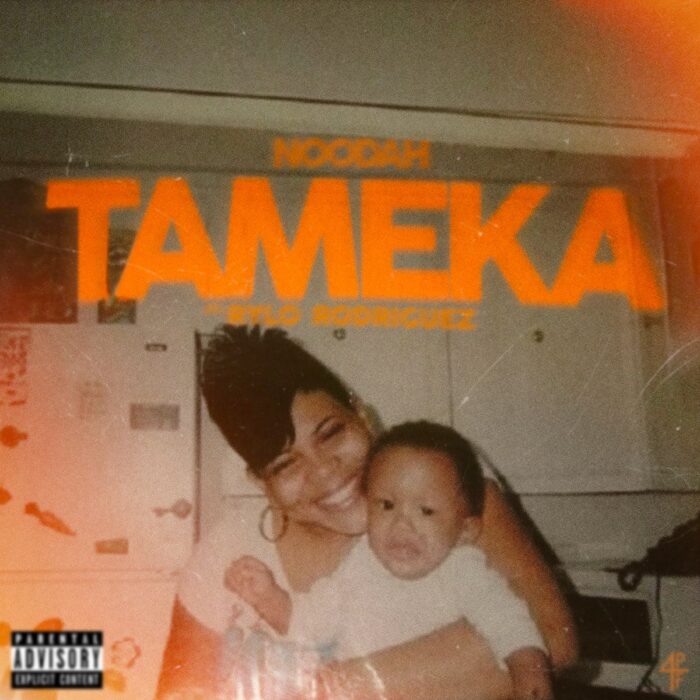 Tameka by Noodah05 ft. Rylo Rodriguez - Artwork