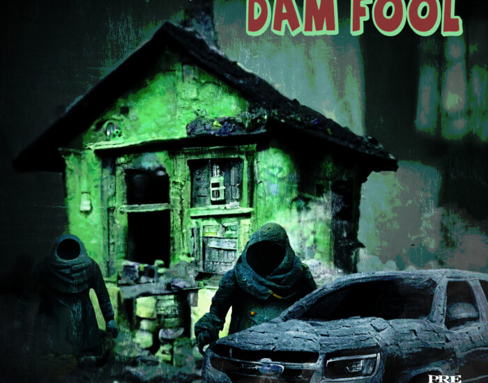 Dam Fool by Snupe Bandz and PaperRoute Woo - Artwork